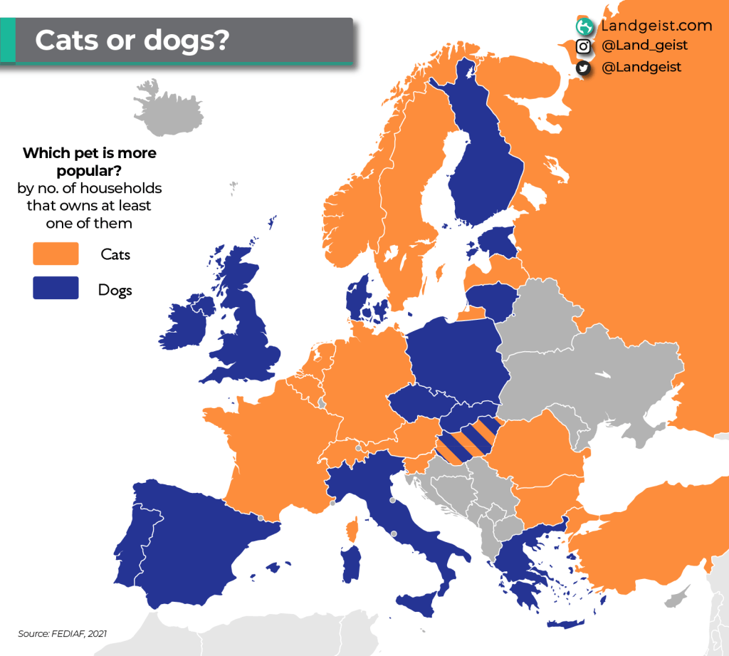 Cats or Dogs?
